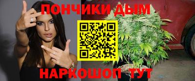 крисы Будённовск