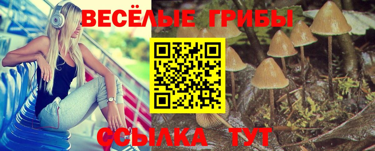 Галлюциногенные грибы Cubensis Краснознаменск